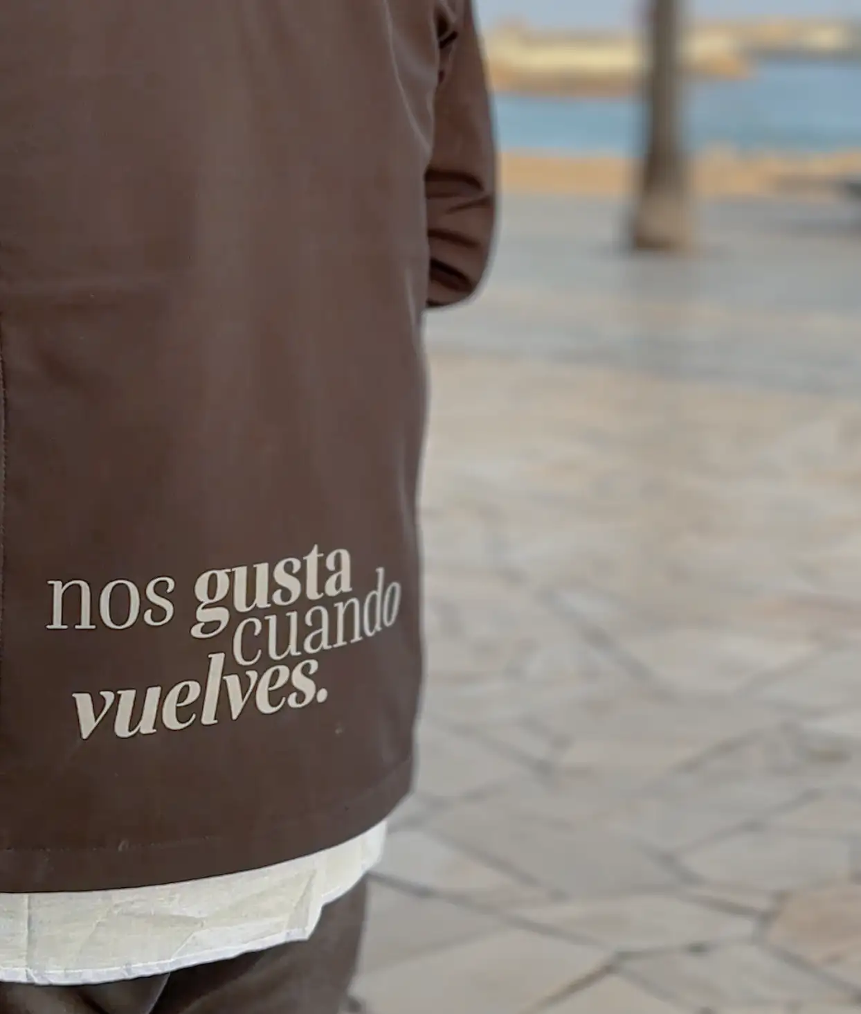 Captura de pantalla 2025-11-21 a las 9.34.43-edit