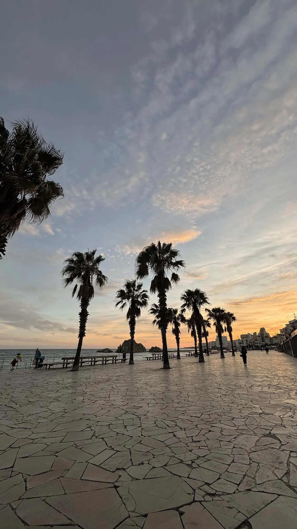 filtro_IMG_9978-scaled